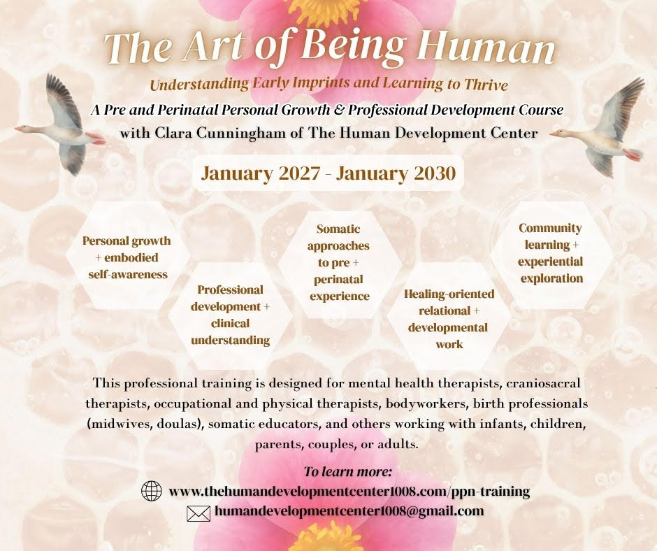 Pre- & Perinatal Professional Training with Clara Cunningham
